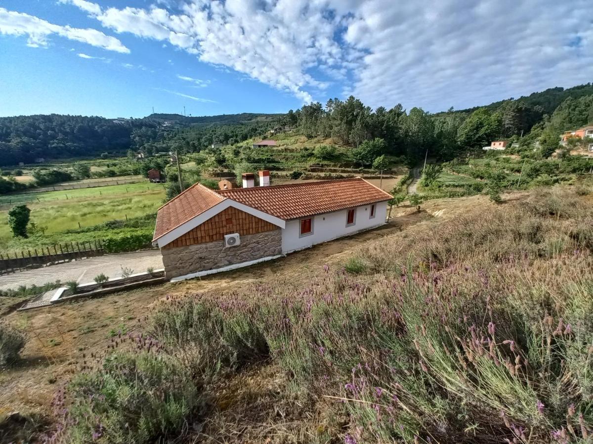 Quinta Da Peca Douro Vinhateiro Vila Real Extérieur photo