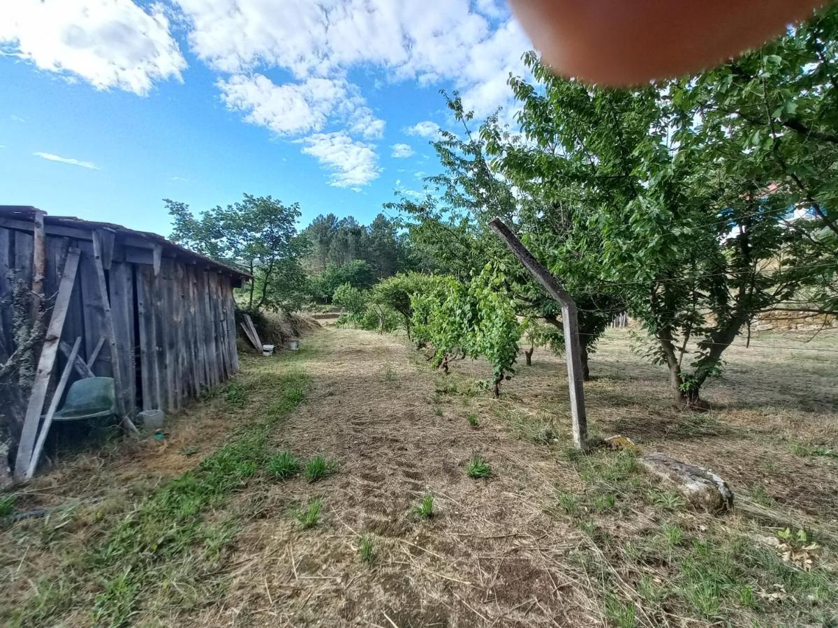 Quinta Da Peca Douro Vinhateiro Vila Real Extérieur photo